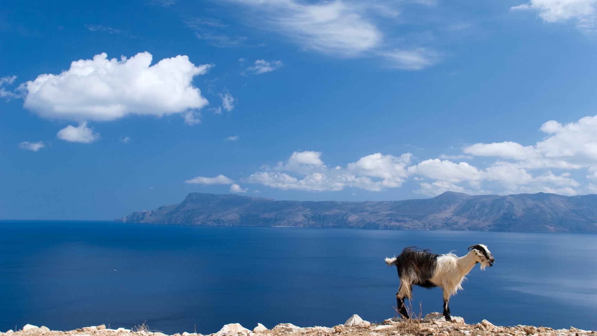 Η άγρια ομορφιά της Κρήτης το χειμώνα